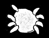 1128063