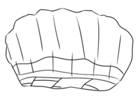 1131529