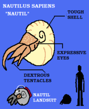 Theicon-nautil.png